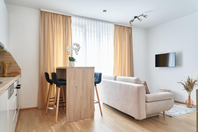 1 Bedroom Apartment