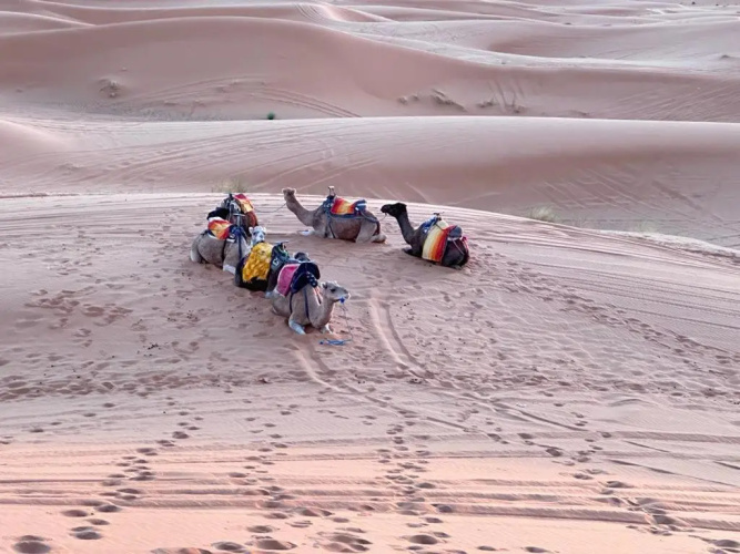 nomad luxury camp