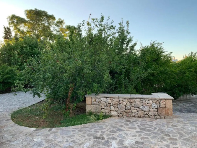 Villa Olivia