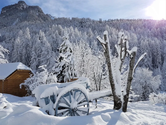 Standard Double room with mountain view