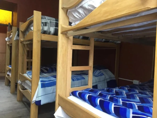Bed in Dorm