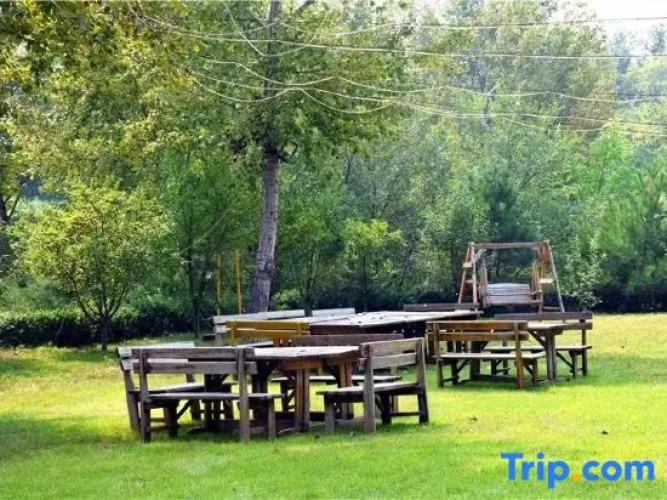 Qingguo Tree House Camping Hotel