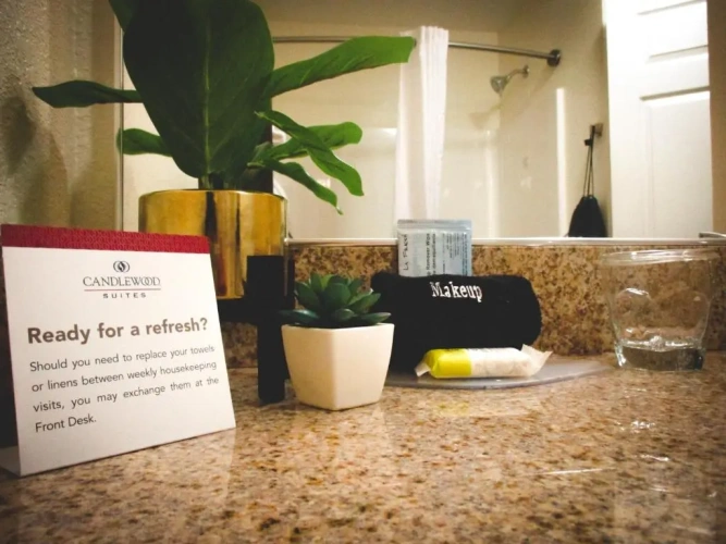 1 Bedroom Suite