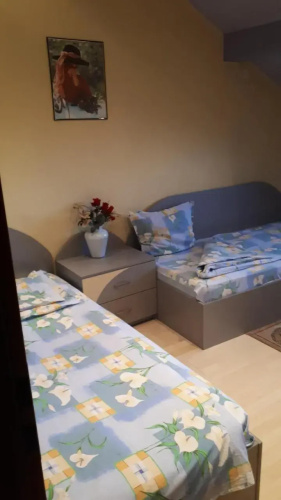 Guest House Blisten