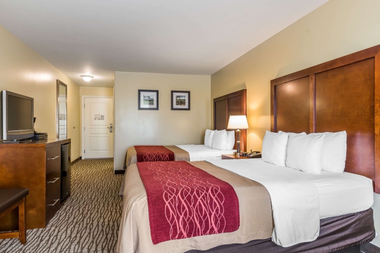 Standard Quadruple room