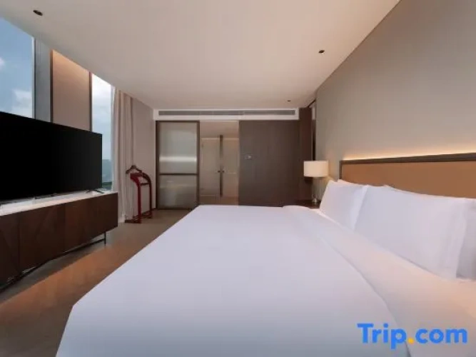 1 Bedroom Suite