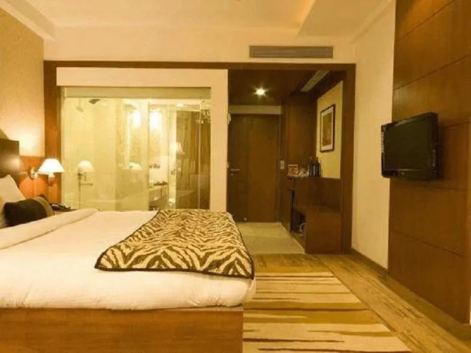 Grand Single Suite