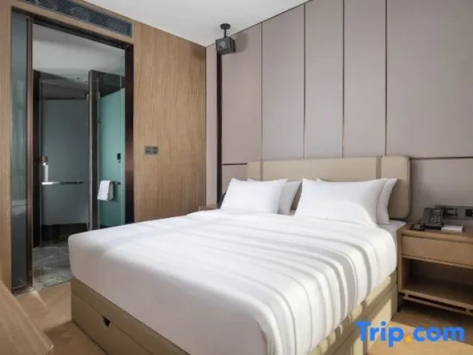 1 Bedroom Suite