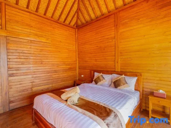 Deluxe Double room with lake view