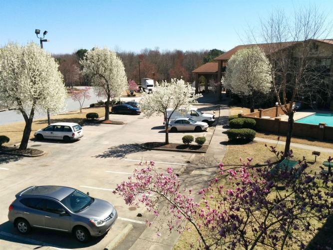 Brick Lodge Atlanta/Norcross photo 15