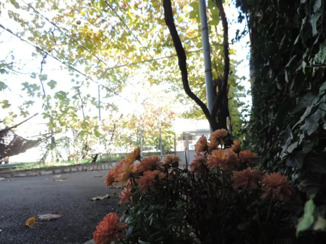 Tetriani Guesthouse