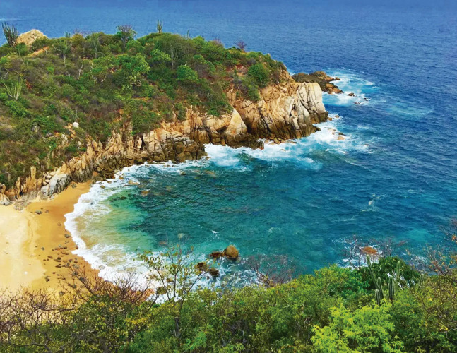 Imagen de La Isla Natura Beach All Inclusive
