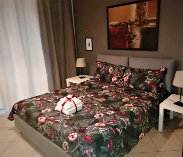 Deluxe Double room with balcony and with city view