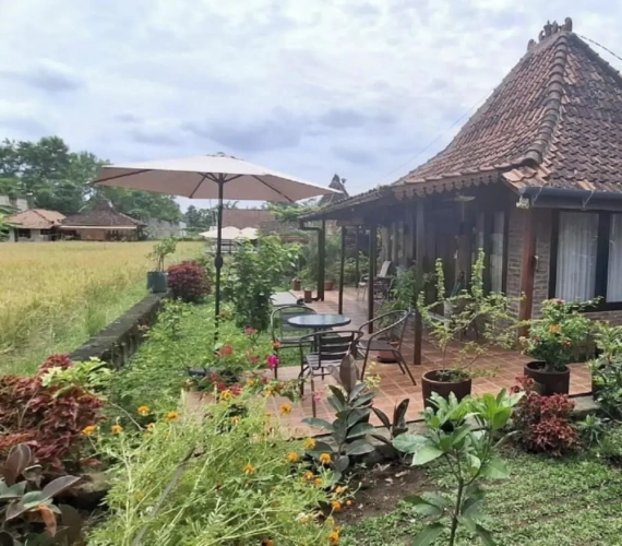 1 Bedroom Standard Triple Basement room with garden view