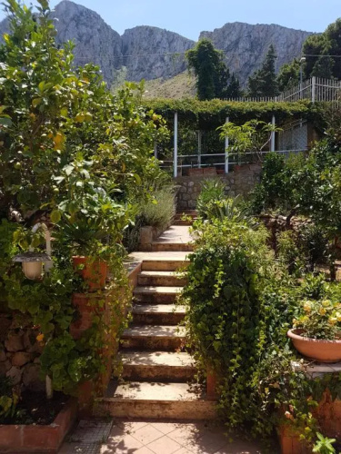 Suite Panoramic