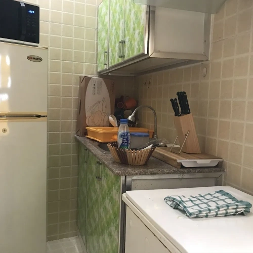 1 Bedroom Family Basement Apartment