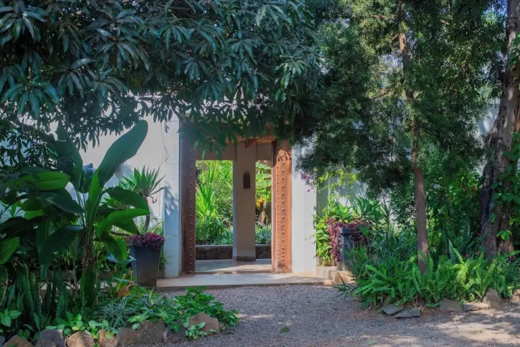 Mitengo House