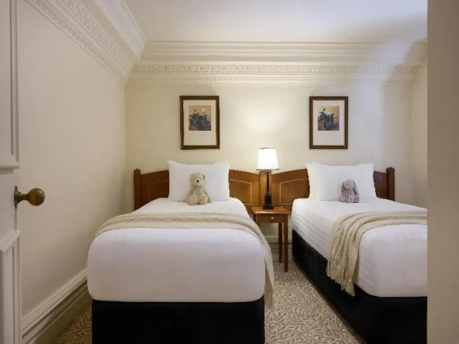 Standard Twin Family room