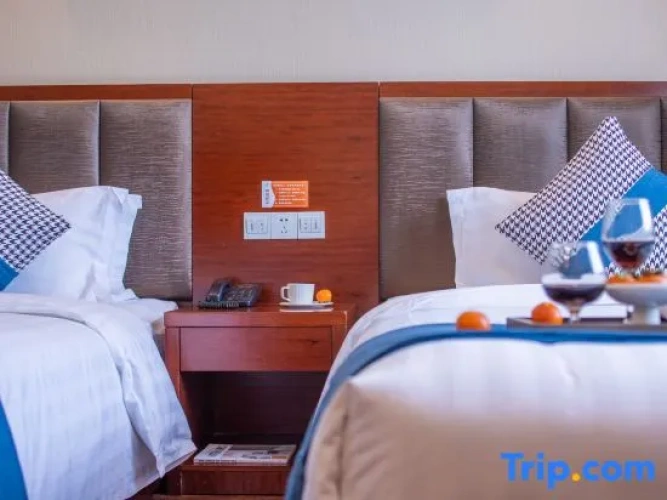 Twin Suite