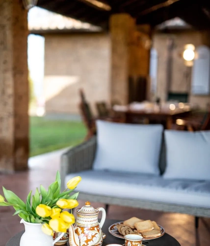 Comfort Villa