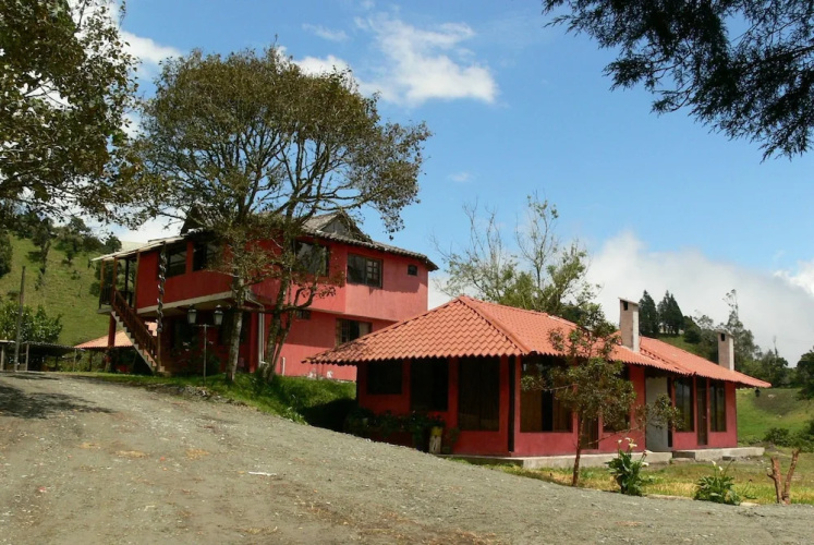 Rutun Orquídeas