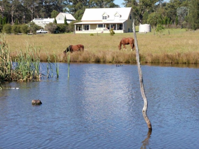 Cottage