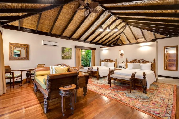 Standard Double room with balcony and with garden view