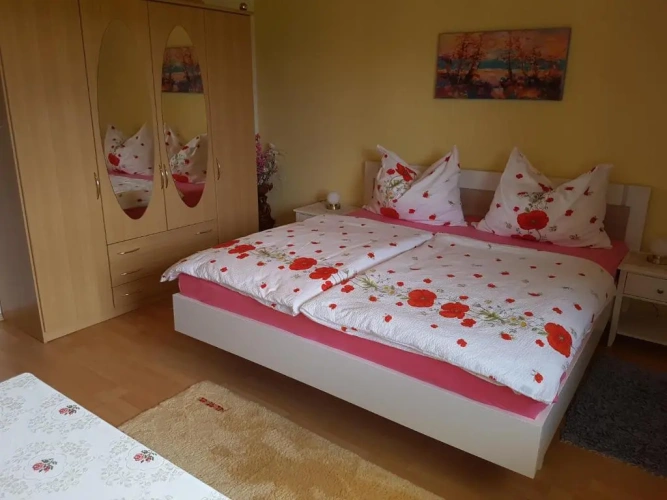 Standard Double room with mountain view