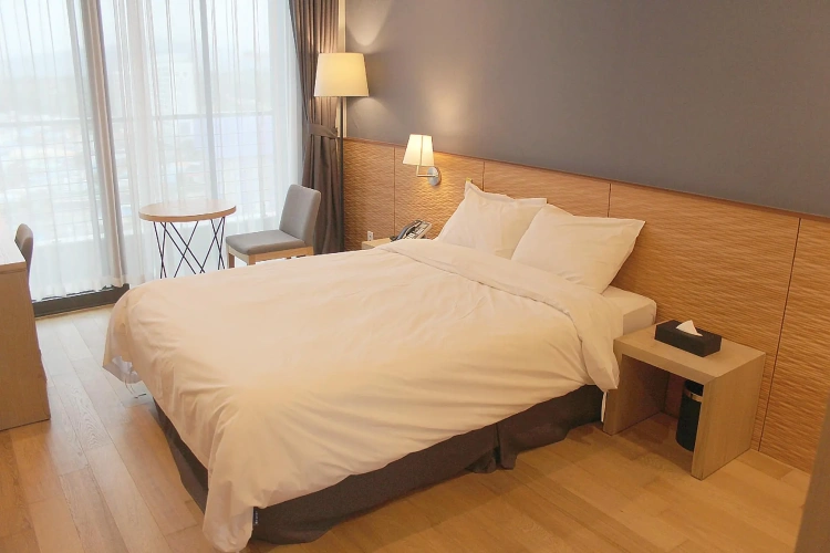 Deluxe Double room with city view