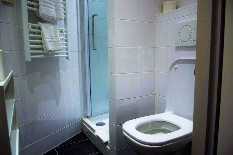 Standard Single room with garden view