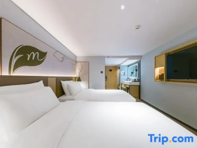 Standard Double room with street view