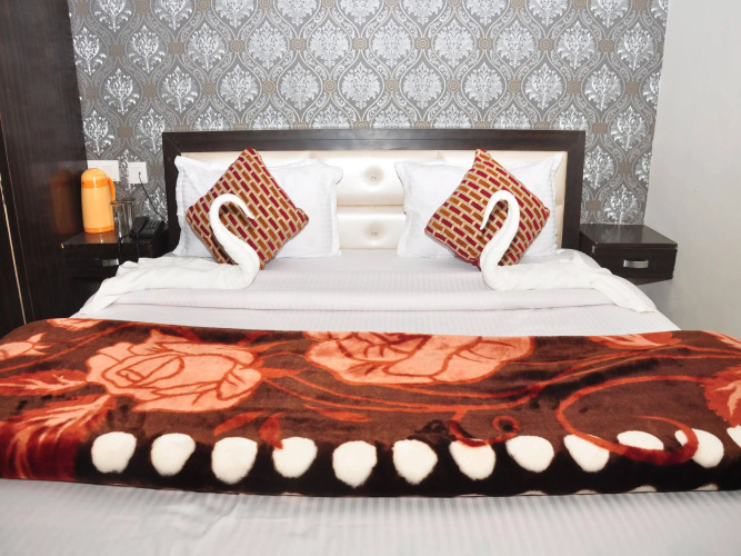 OYO 8766 Hotel DS Regency