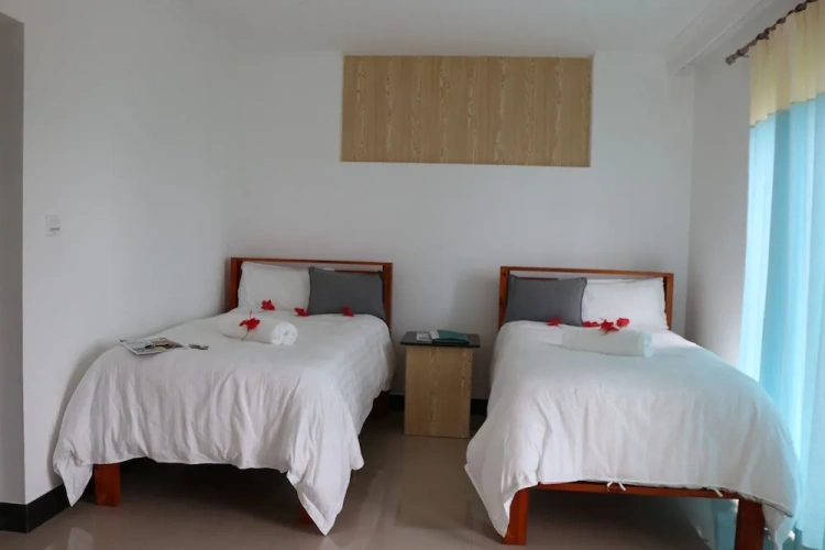 Standard Twin Basement room