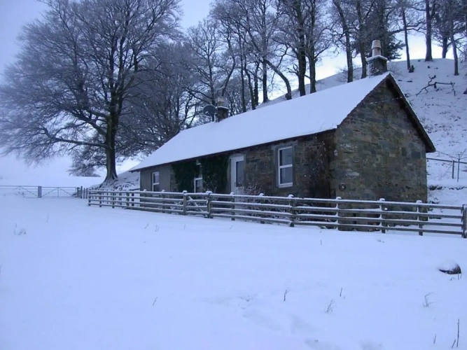 Cottage