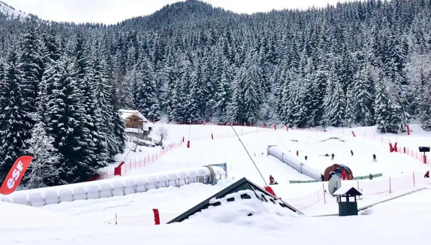 Folyere 17 la Tania