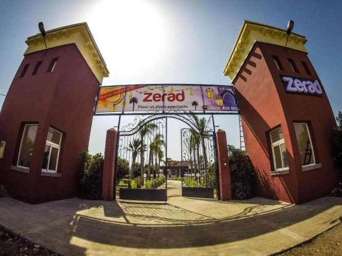Zerad - El Jadida