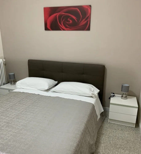 Standard Double room with balcony and with lake view