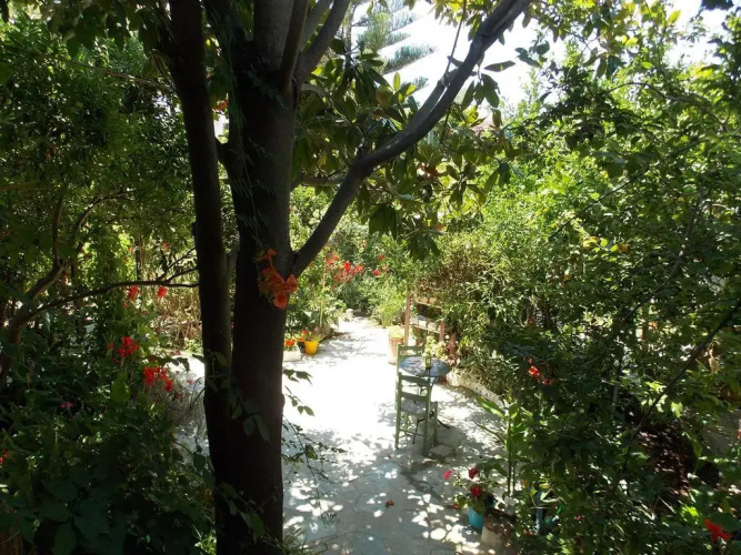 Stamatia's Garden