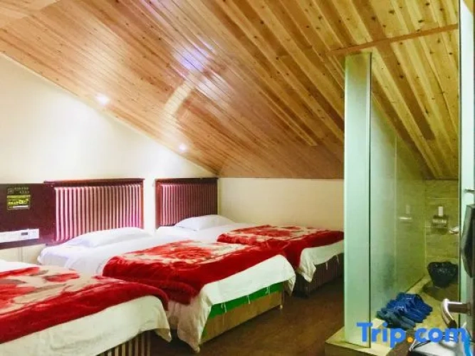 Triple Apartment