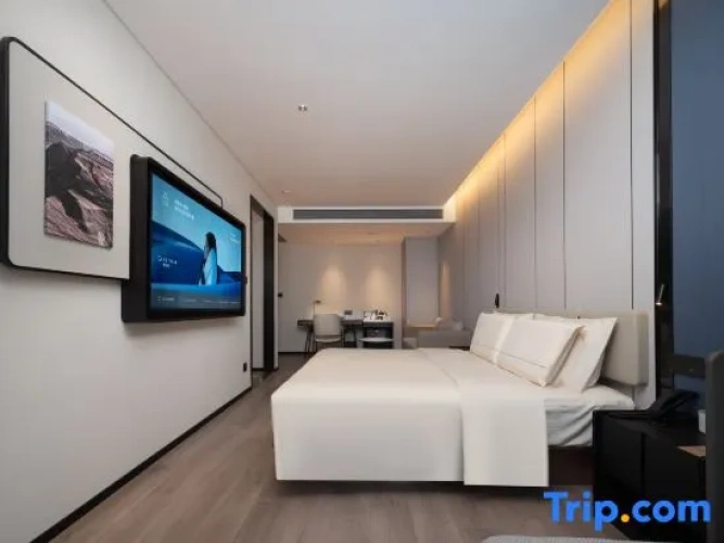 Privilege Double room with city view