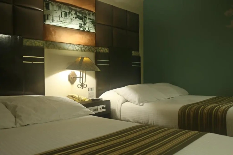 Deluxe Single room