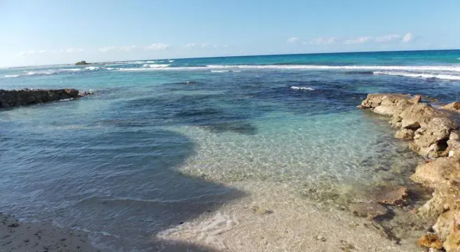 Triplets on the Bay