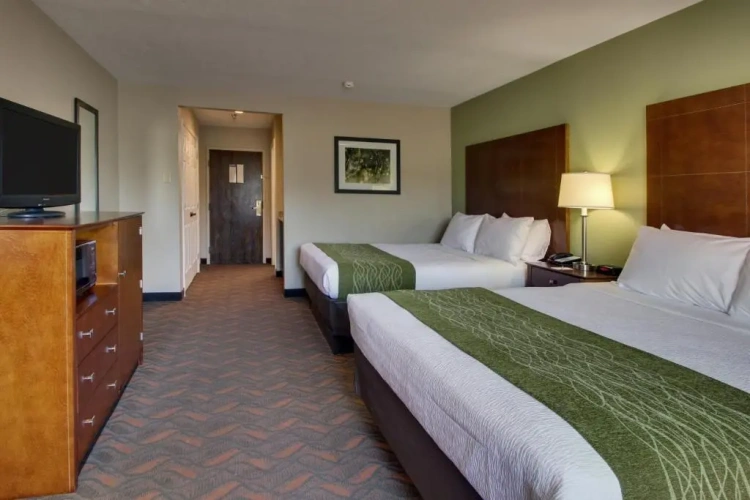 Standard Quadruple room