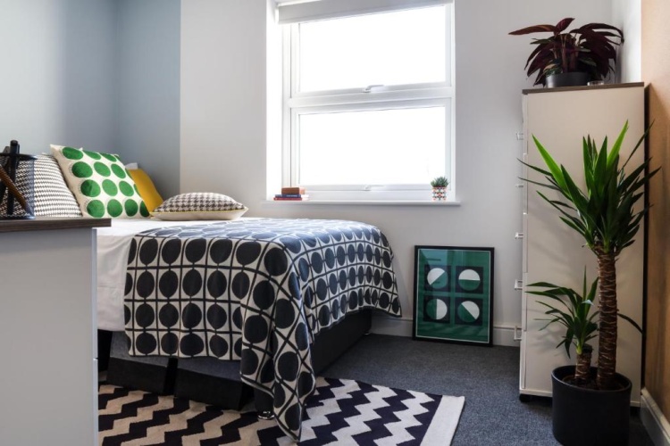 Standard Single room