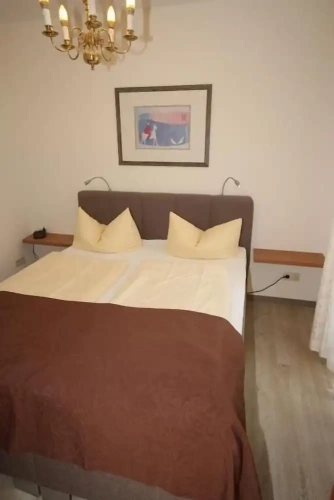 Standard Single room with park view