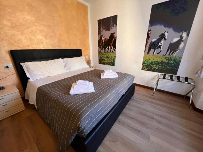 Standard Apartment