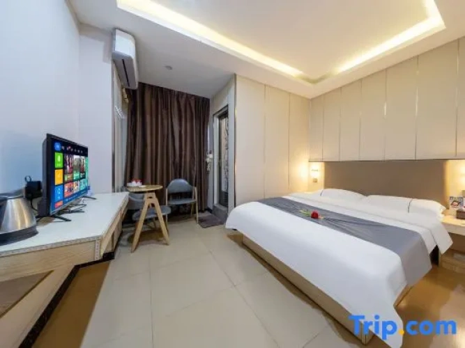 Classic Single room