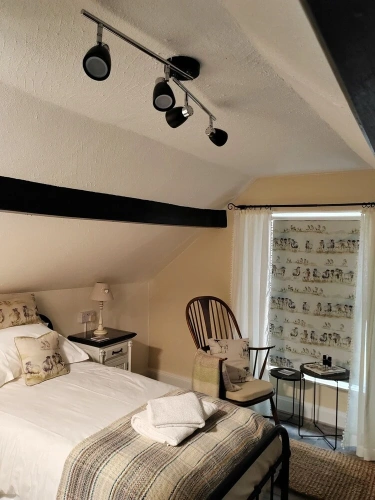 Premier Single room with garden view