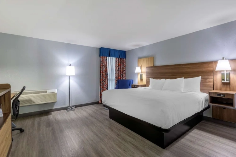 1 Bedroom Standard Double room