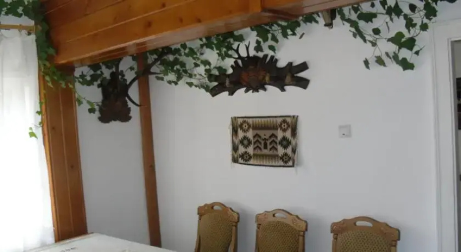 Pensiunea Grosan